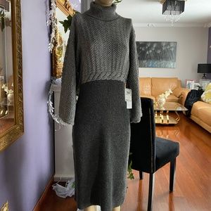 NWT ADRANNA PAPPELL TURTLENECK DRESS